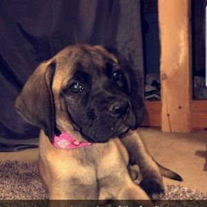 Meet your Posher, Katheryn